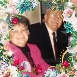 Meet your Posher, Emilia